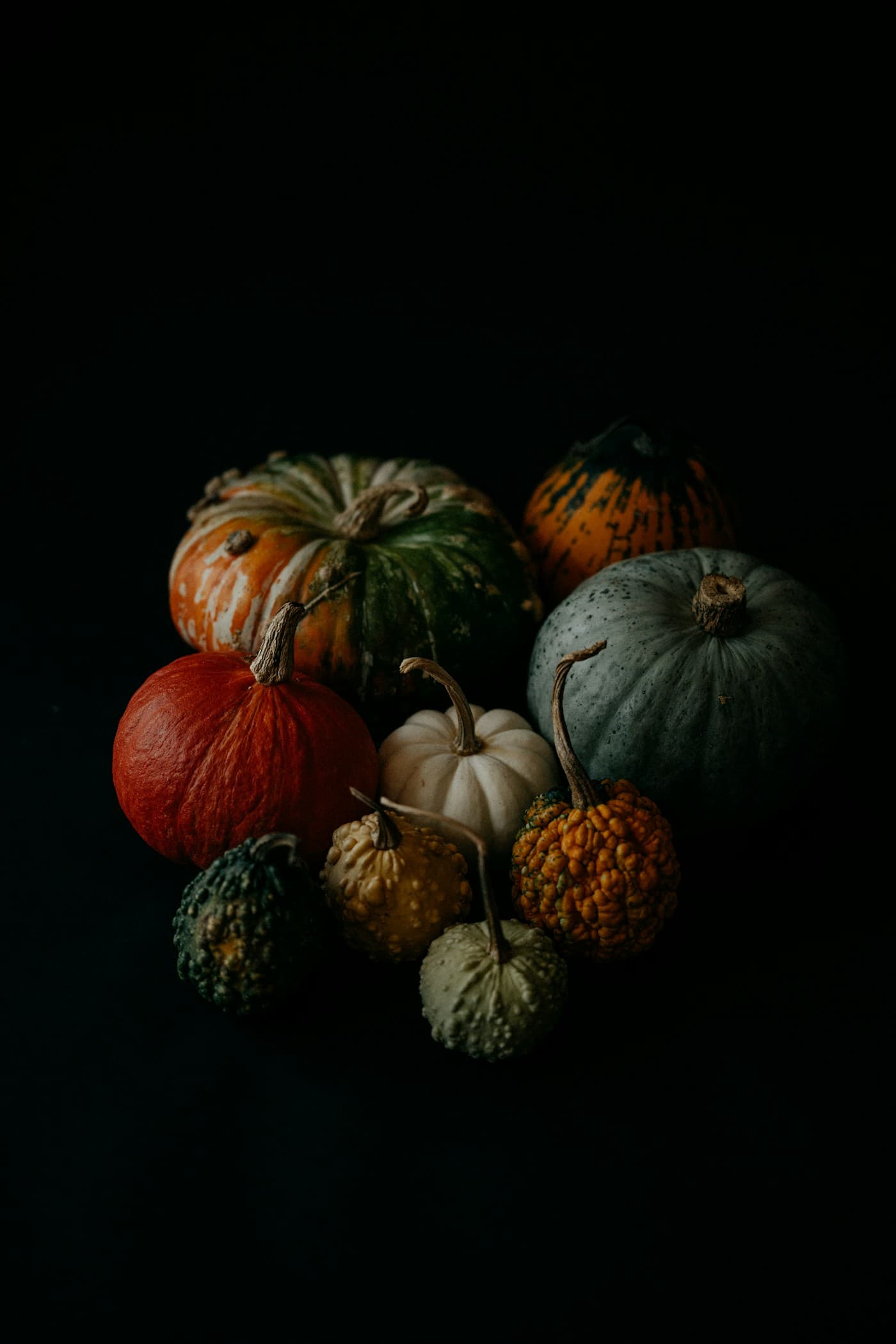 Autumn pumpkins arranged for the Halloween season